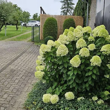 Eldeufer I Plau am See